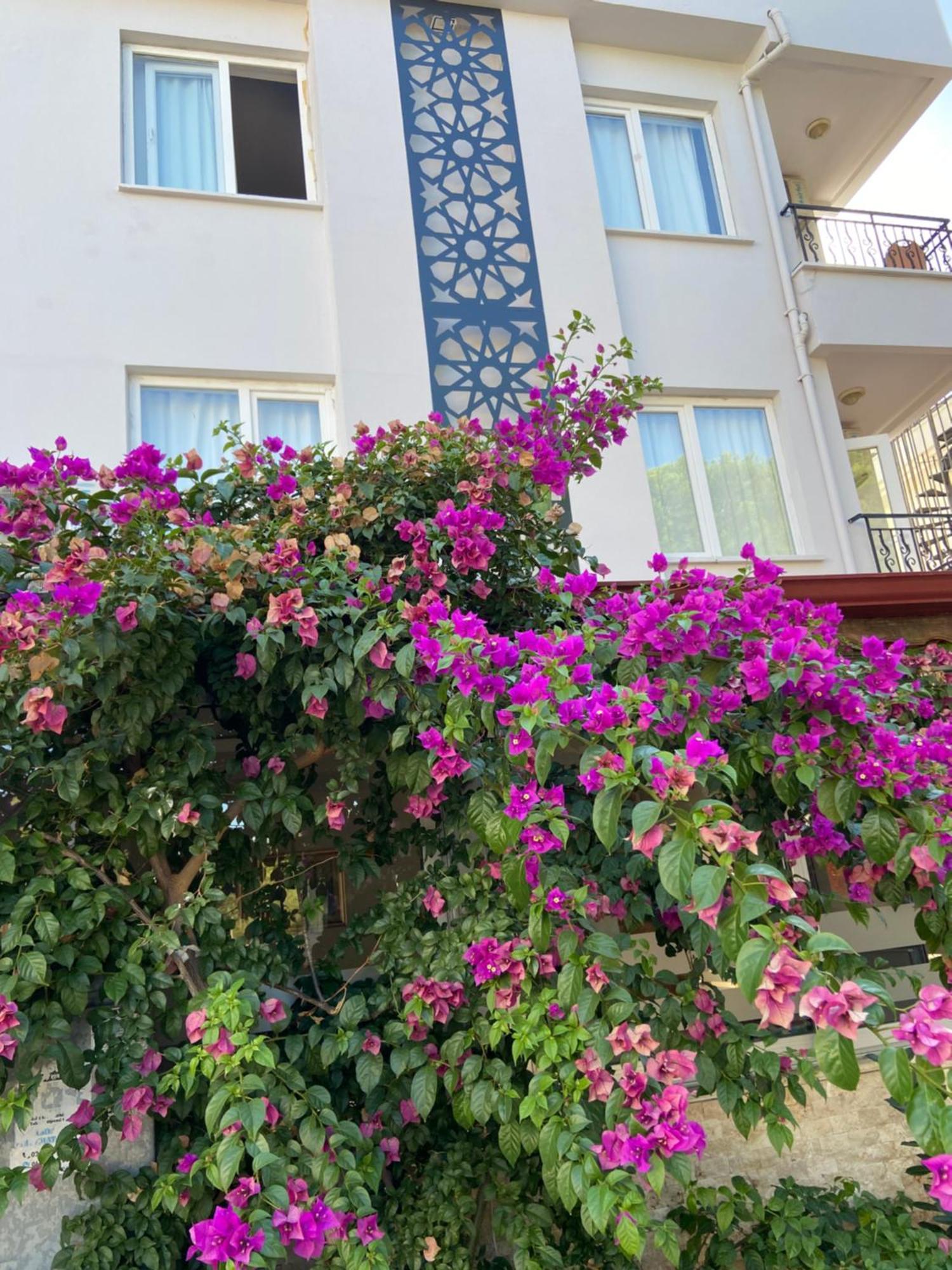 Serenity Suites Hotel 安塔利亚 外观 照片